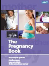 The pragnancy book