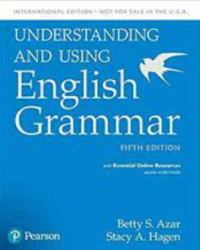 Understanding and using english grammar, fifth edition